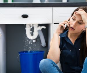 About Plumbers Pros Springfield Center, NY